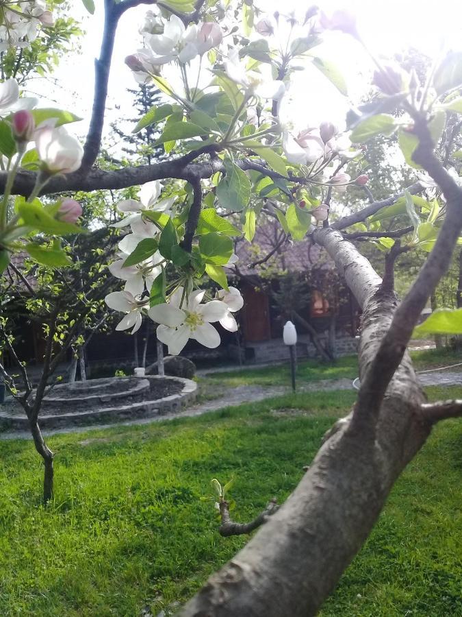 Kish Adasi Resort Şǝki Εξωτερικό φωτογραφία